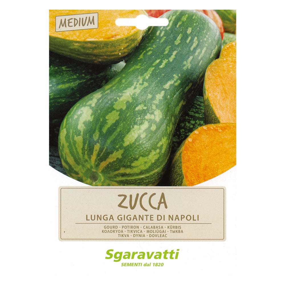 SEMI PER ORTAGGI E VEGETALI zucca lunga gigante di Napoli- 20 pezzi  - SGARAVATTI