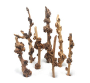 DecorLine Savana Wood Foto Indicativa - Legni decorativi naturali per acquari d' acqua dolce Modello: L (40-50cm)