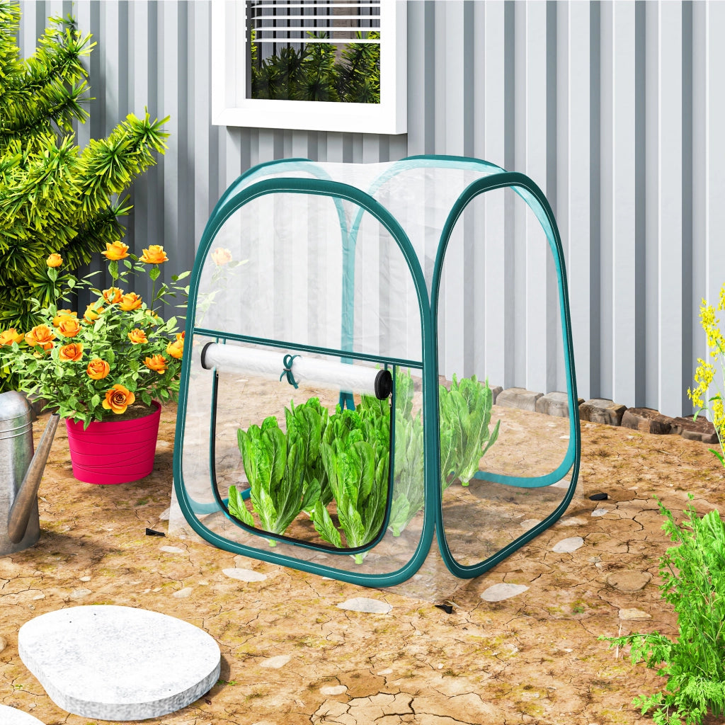 Mini Serra ¨C zephmum ¨C PVC Trasparente 70x70x80 cm