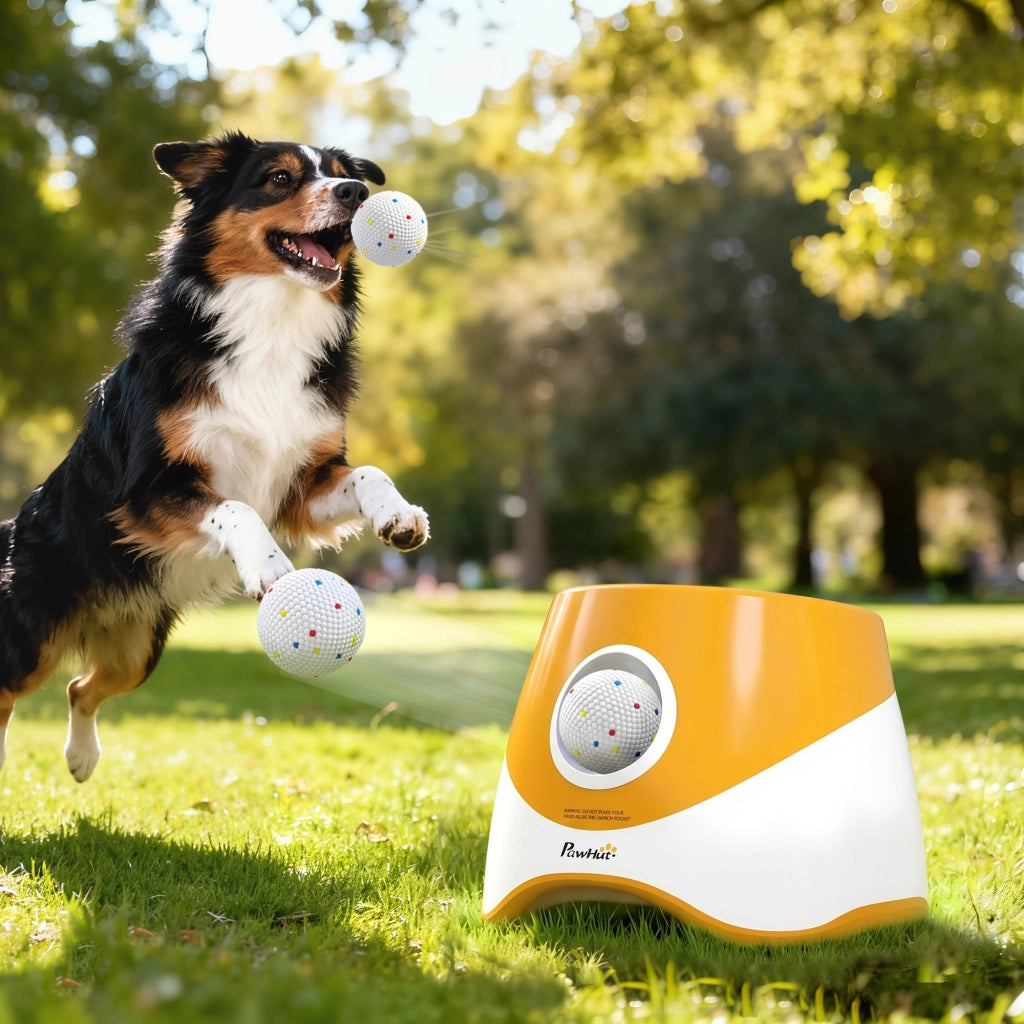 Lanceur Automatique de Balles pour Chiens Petits et Moyens Orange