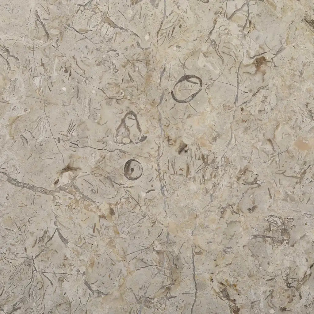Dessus de table Gris Ø50x2,5 cm Marbre