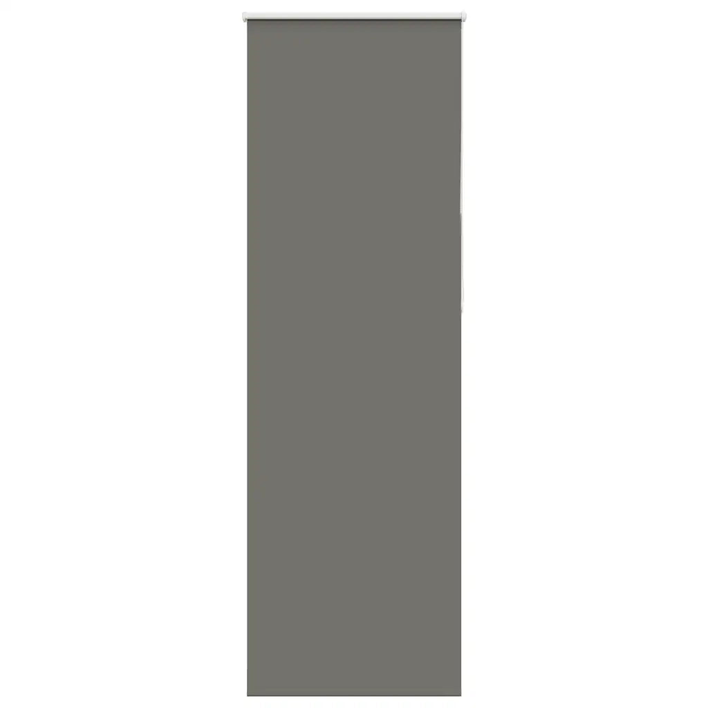 Tenda a Rullo Oscurante 65x210 cm Larghezza Tessuto 60,7 cm 4011173
