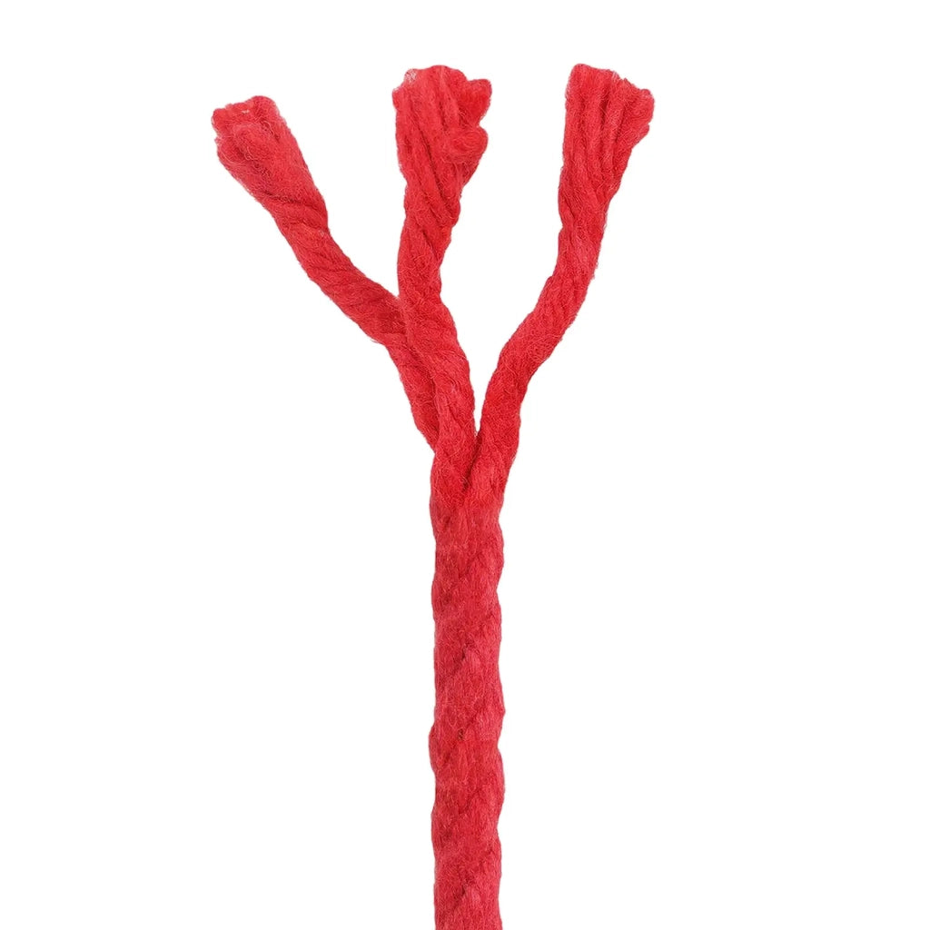 Spago di Cotone 4 mm 50 m Rosso 100% Cotone 42011893