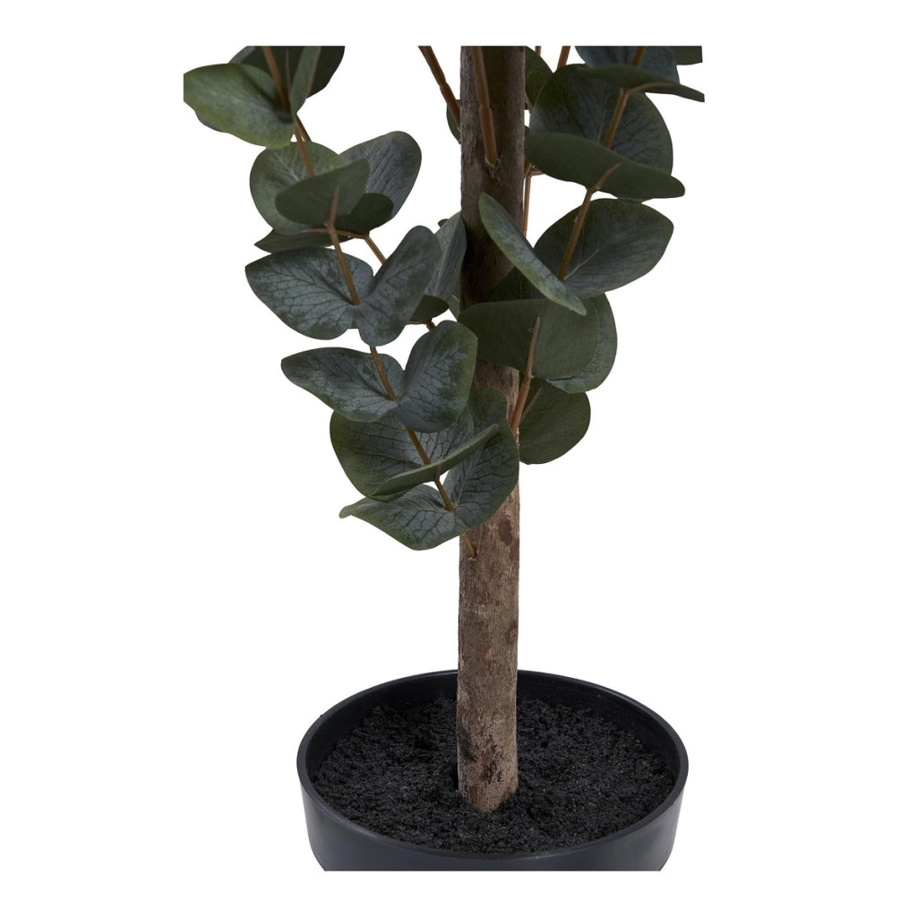 Pianta Artificiale Eucalipto, Verde, Plastica PE, 36x46x120 cm