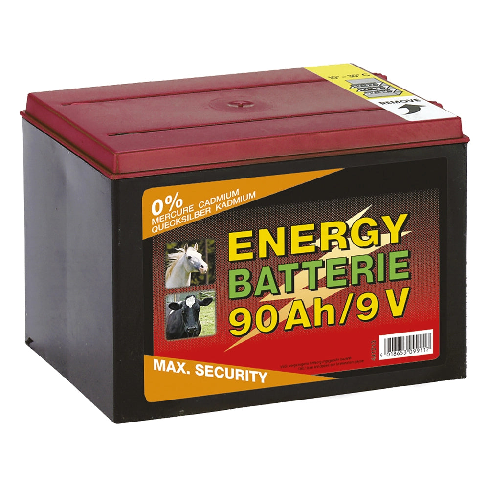 Batteria a Secco Albert Kerbl 130 Ah