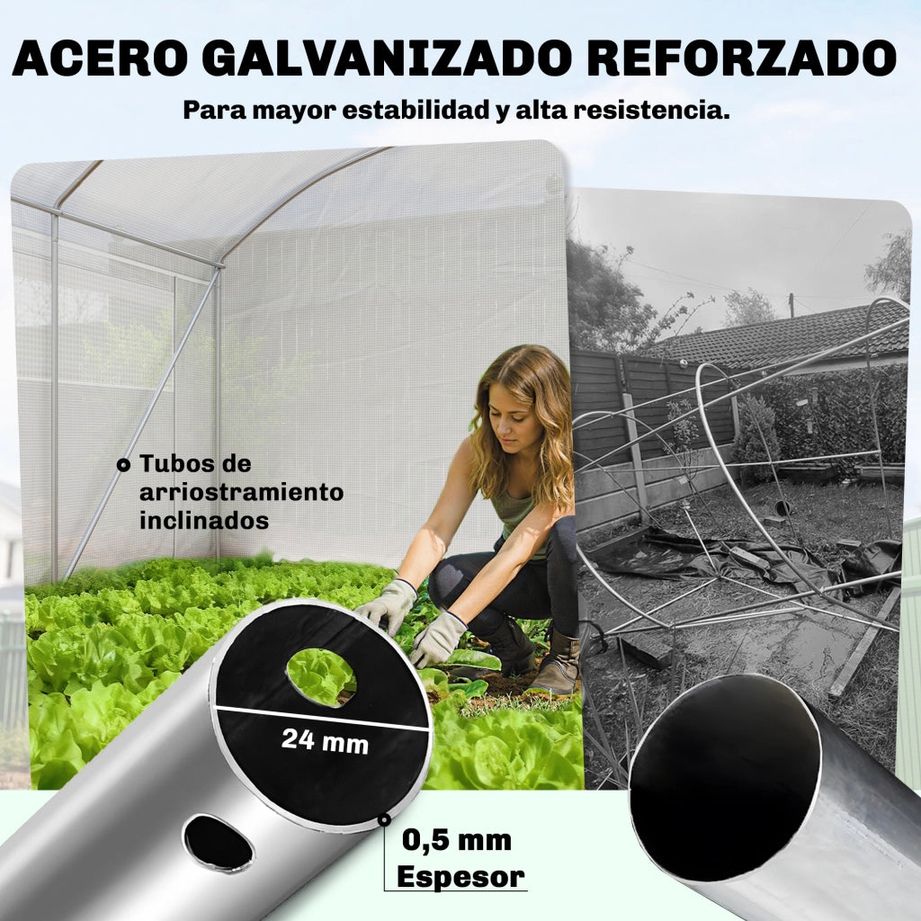 Serra Tunnel 6x3x2 m ¨C Minimal ¨C 3 Porte a Rullo, 6 Finestre a Rete, Struttura in Acciaio Zincato Bianco