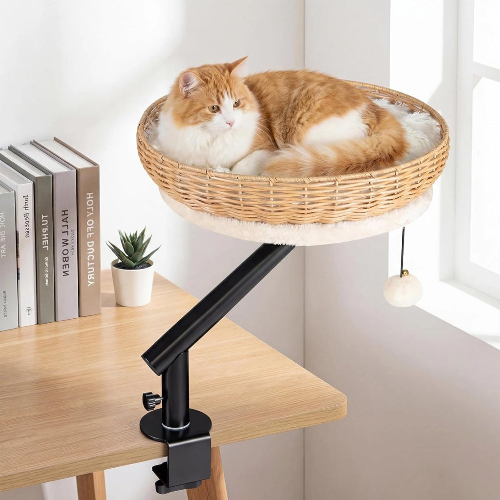 Letto per Gatti da Scrivania Girevole 360°
Cuccia per Gatti in Rattan con Cuscino in Peluche Rimovibile, Amaca con Morsetto per Spessore 1,5-4,5 cm per Studio e Ufficio