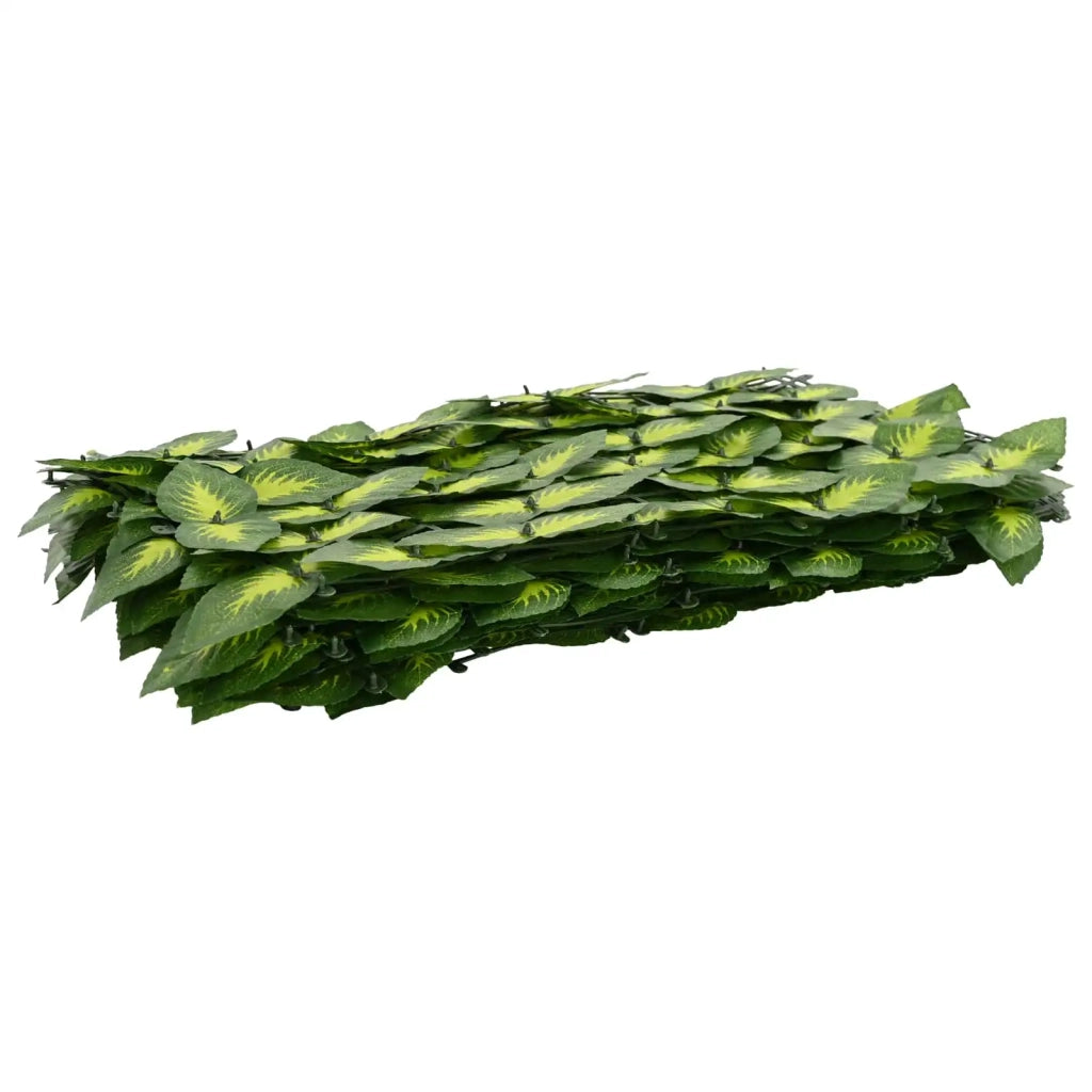 Paravento da Balcone | Schermo per balcone con foglie Verde e Giallo 600 x 75 cm