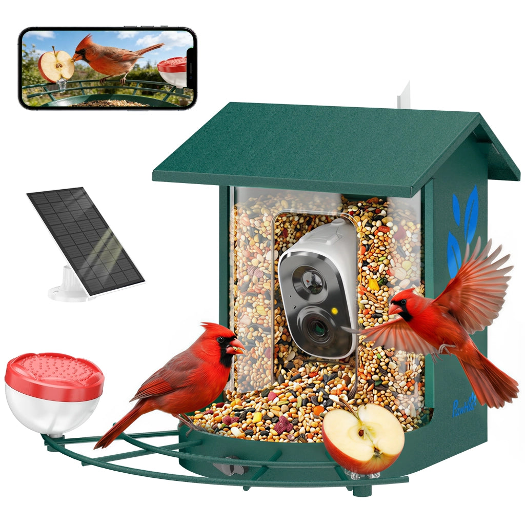 Mangiatoia per Uccelli con Telecamera 2K Solare 2,5L Grandangolo 142° Riconoscimento IA IP65 SD 32GB 30x34,5x26,3cm Verde