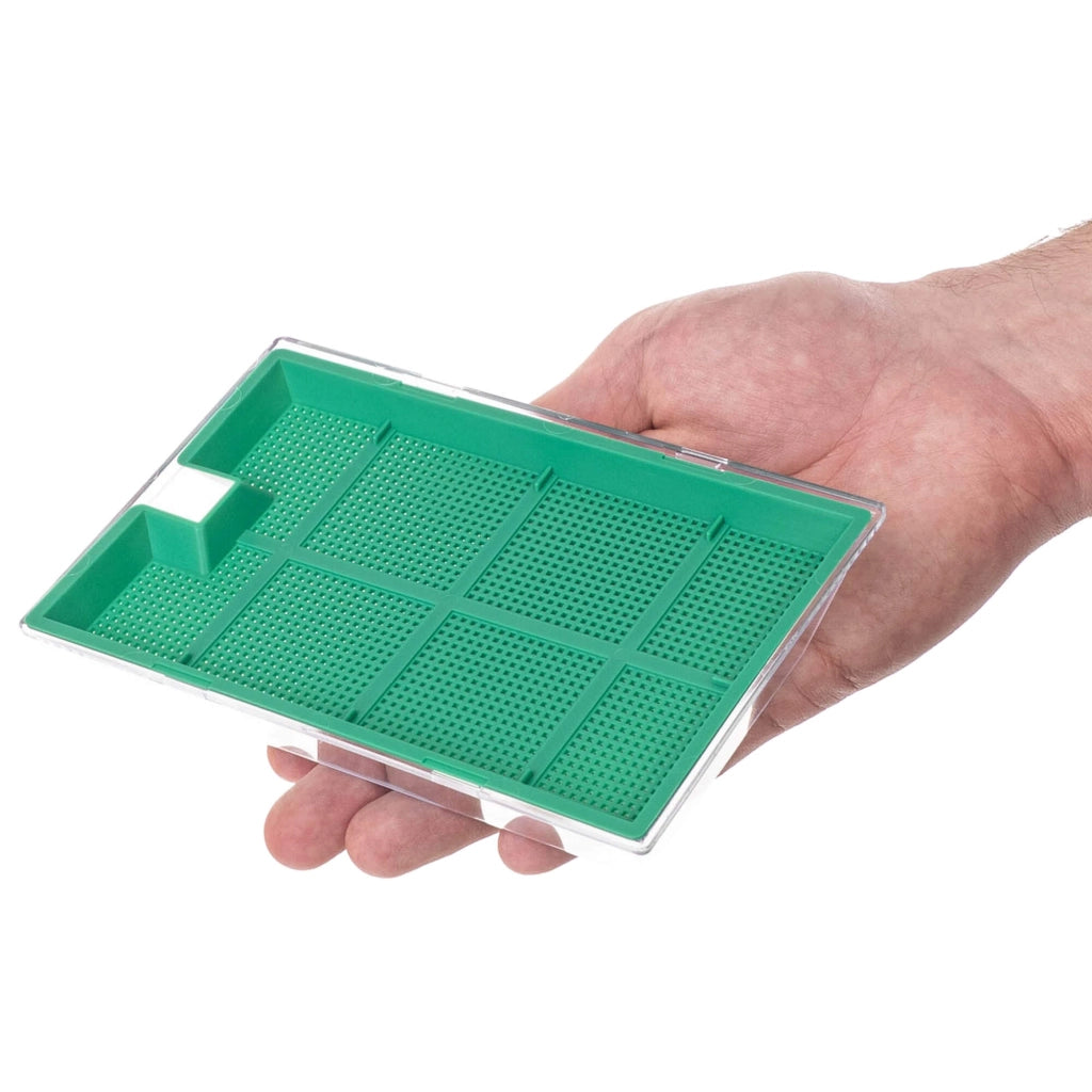 Macchina per la germinazione di semi KADAX, coltivazione di crescione, contenitore per la germinazione di semi