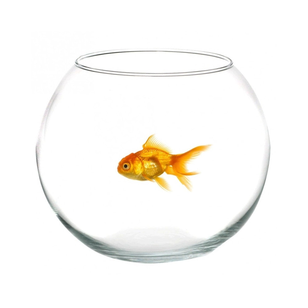 Trade Shop - Ampolla Boccia Per Pesci In Vetro 12 Cm Acquario Pesce Rosso Centrotavola -