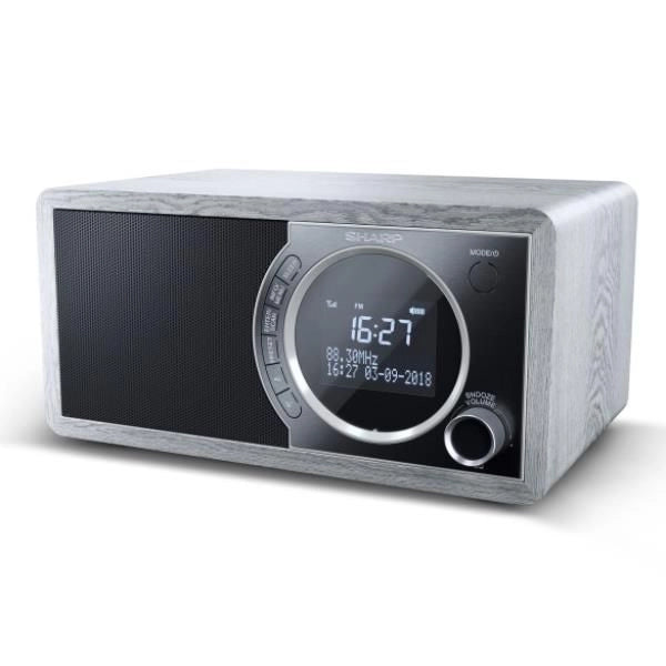 Radio digitale dr450 grey - DR-450GR