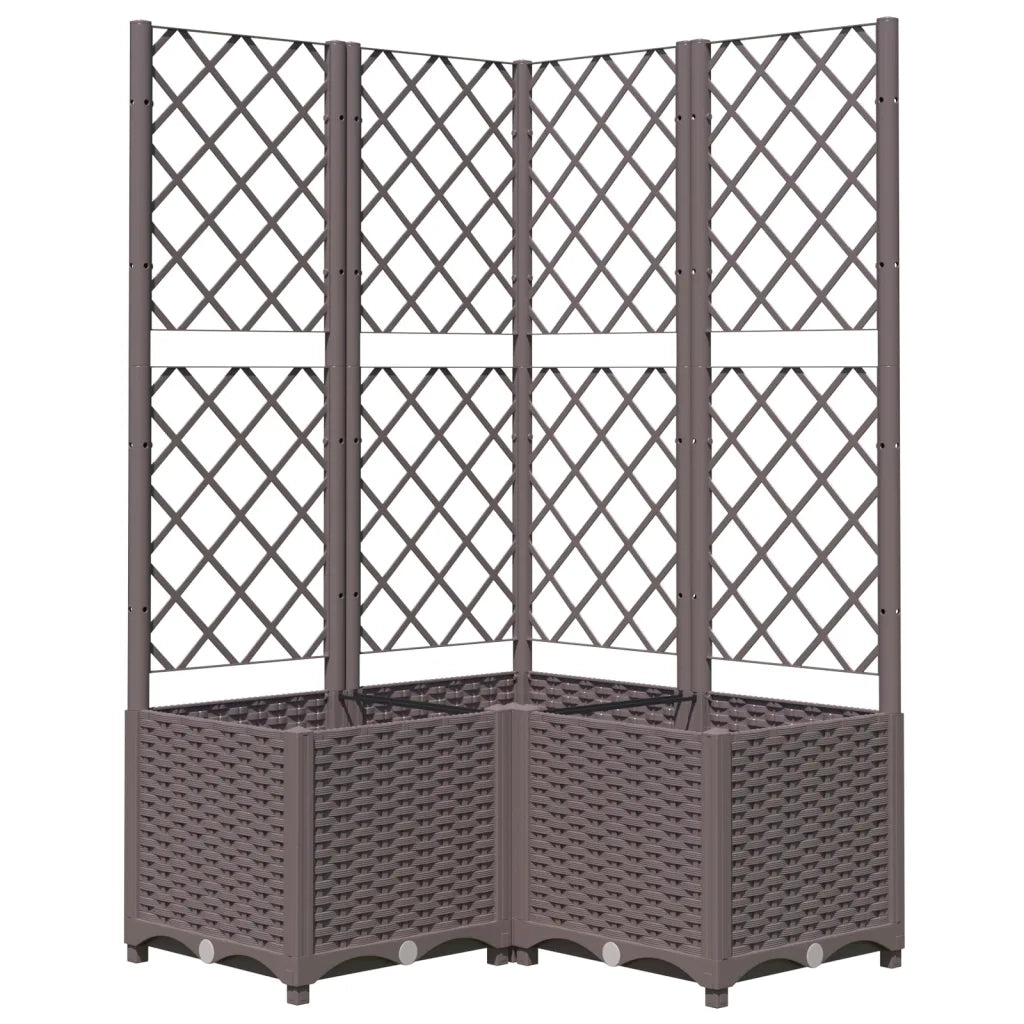 Fioriera da Giardino con Graticcio Marrone 80x80x136 cm in PP 318265