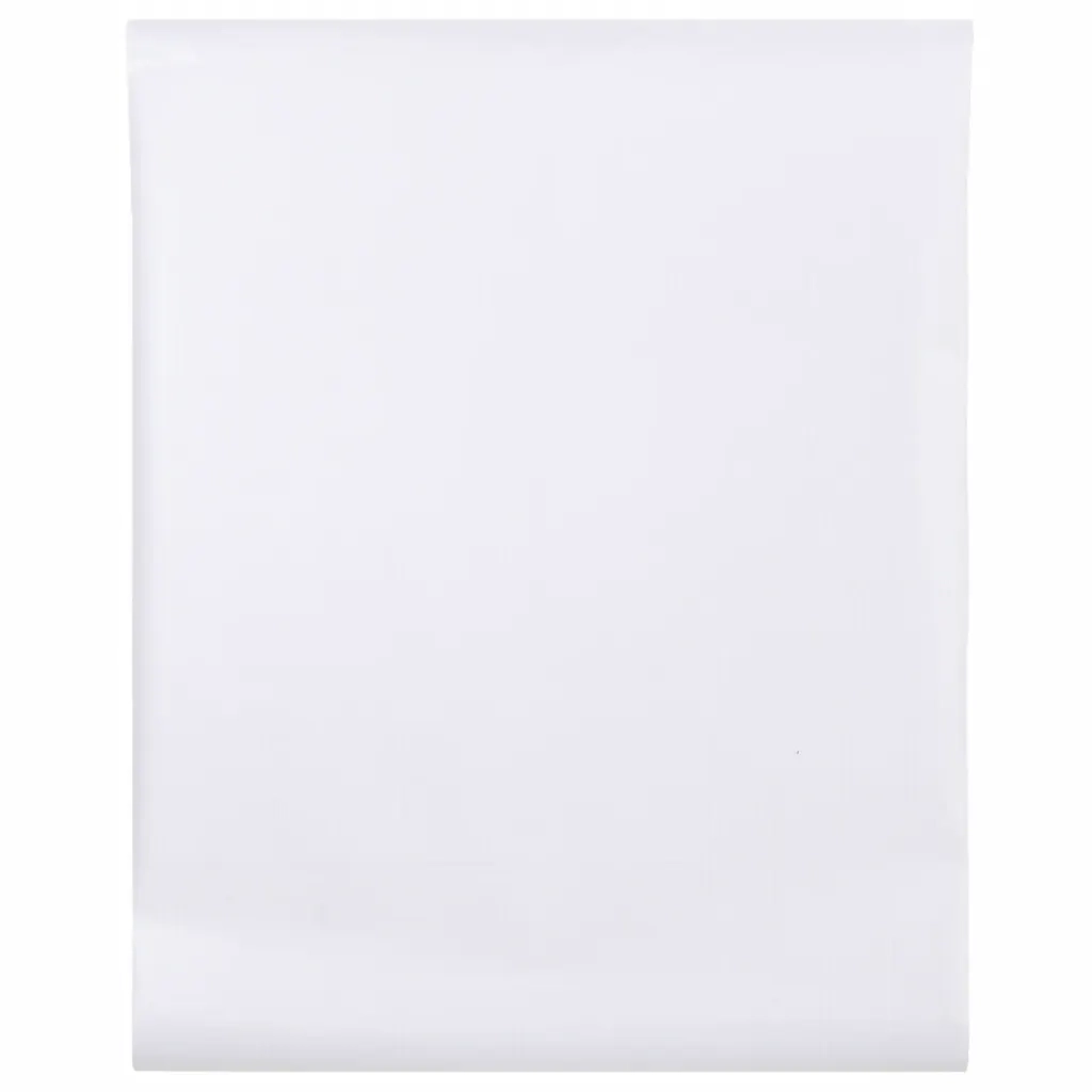 Pellicola per Finestra Smerigliata Bianca 60x500 cm PVC 155743