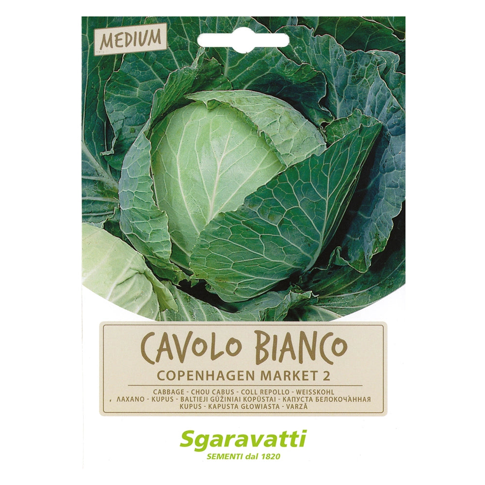 SEMI PER ORTAGGI E VEGETALI cavolo cappuccio Copenhagen Market- 20 pezzi  - SGARAVATTI