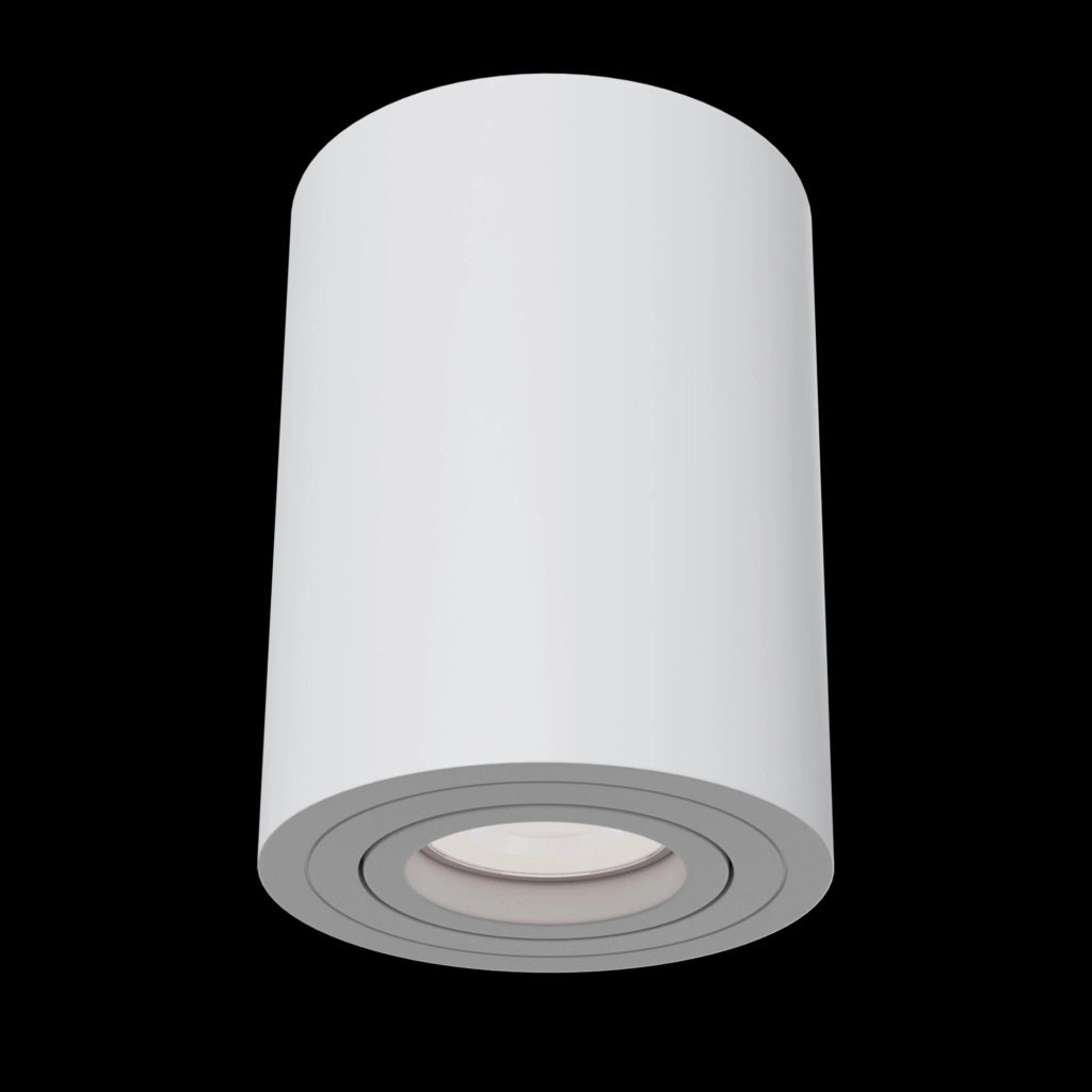 Plafoniera Ceiling & Wall in Alluminio Alfa Bianco