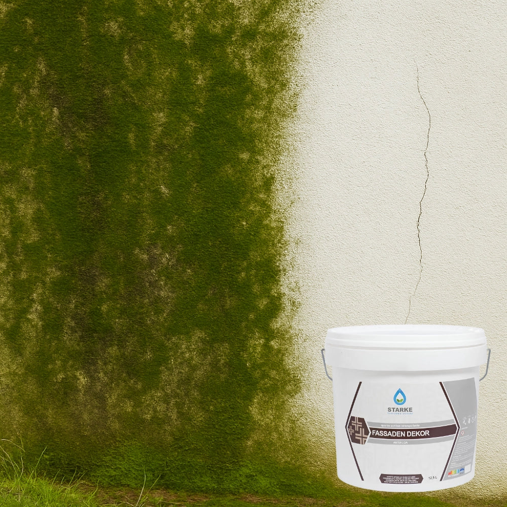 Quarzo fine fassaden dekor acrilico coprente idrorepellente antialga antimuffa *** formato 12.5 lt, confezione 1