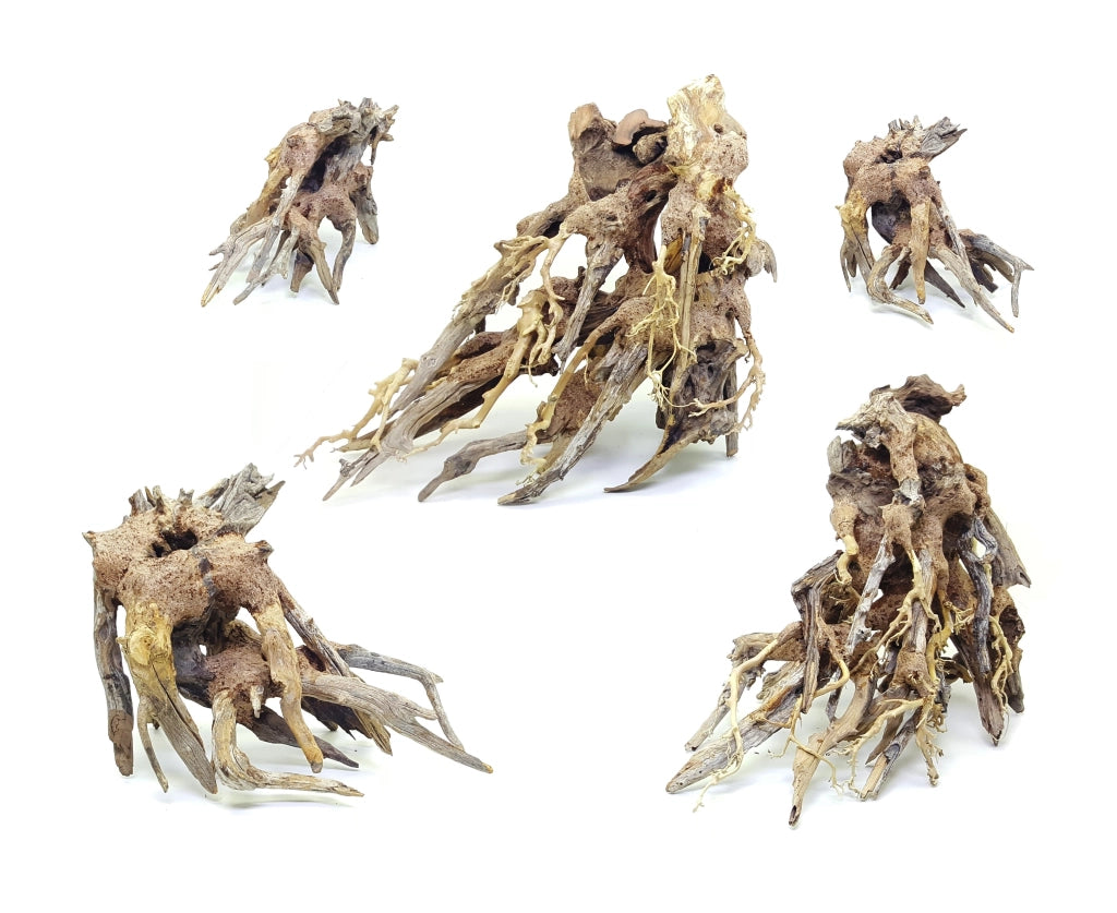 DecorLine Octopus Wood Foto Indicativa - Legno naturale decorativi per acqua dolce Modello: M (cm30x25x15h)