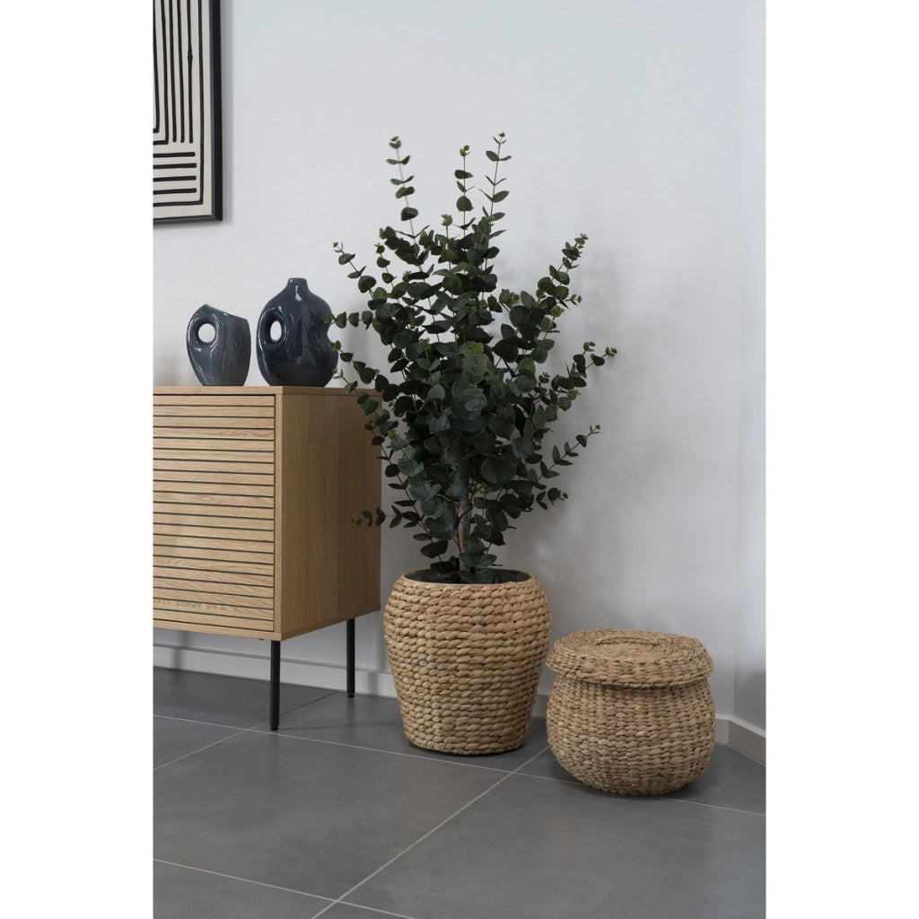 Pianta Artificiale Eucalipto, Verde, Plastica PE, 36x46x120 cm