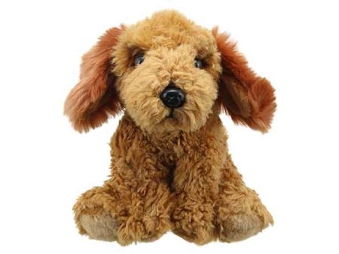 Wilberry - Wilberry Favourites - Cockapoo (Golden)