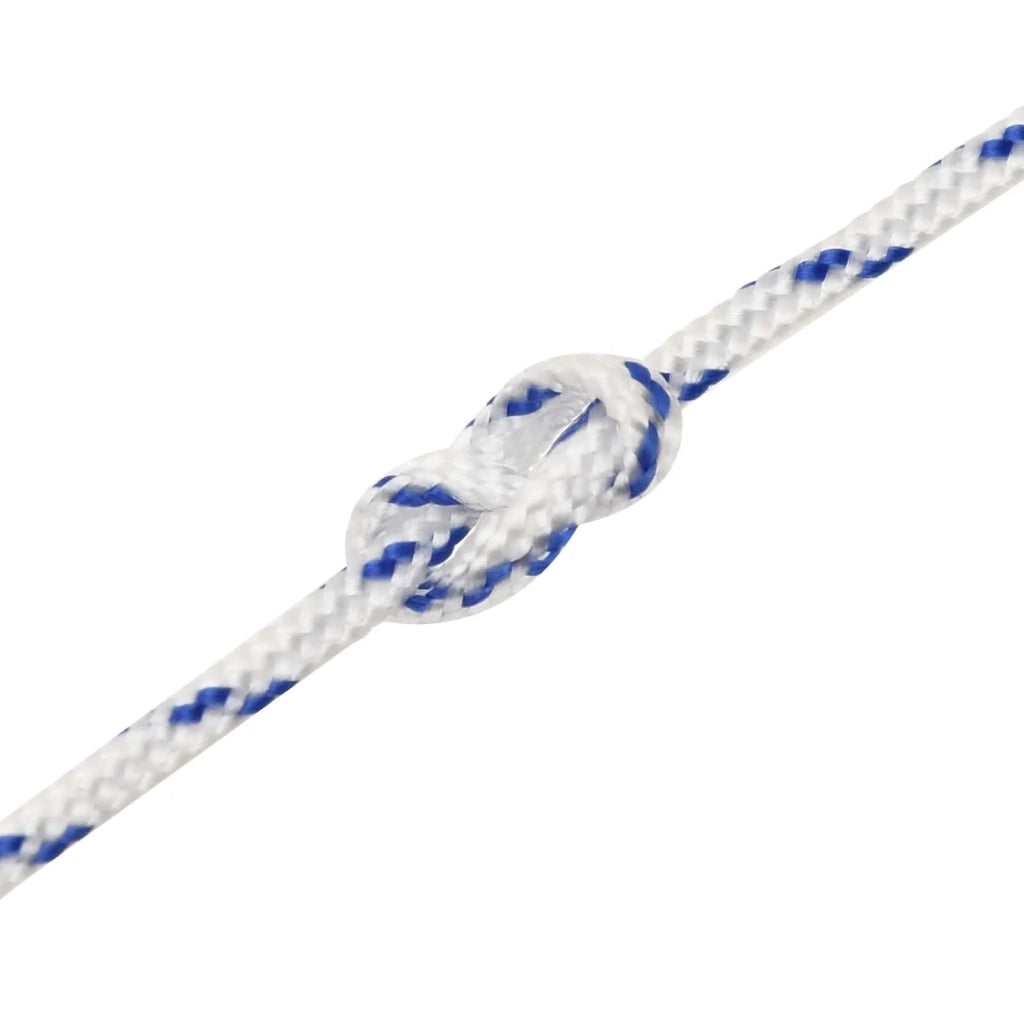 Corda multiuso 2 mm 50 m Bianco e Blu PP 27 kg Carico massimo 3473158