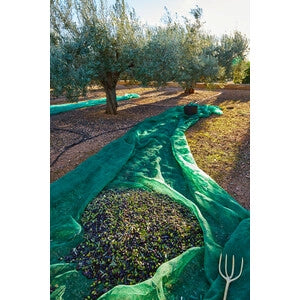 TELO RETE RACCOLTA OLIVE MT.8x12 ANTISPINA CON OCCHIELLI