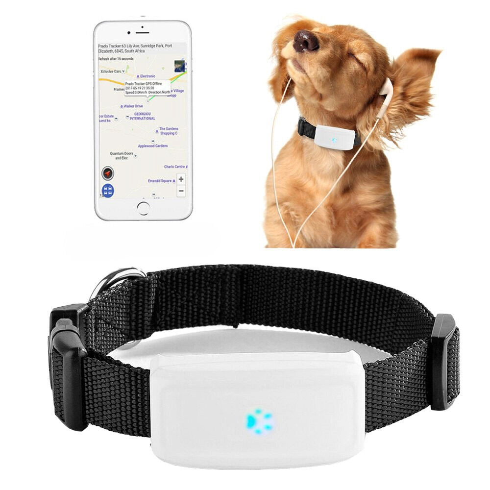 COLLARE LOCALIZZATORE GPS GSM TRACKER PER ANIMALI CANE GATTO CON COLLARE