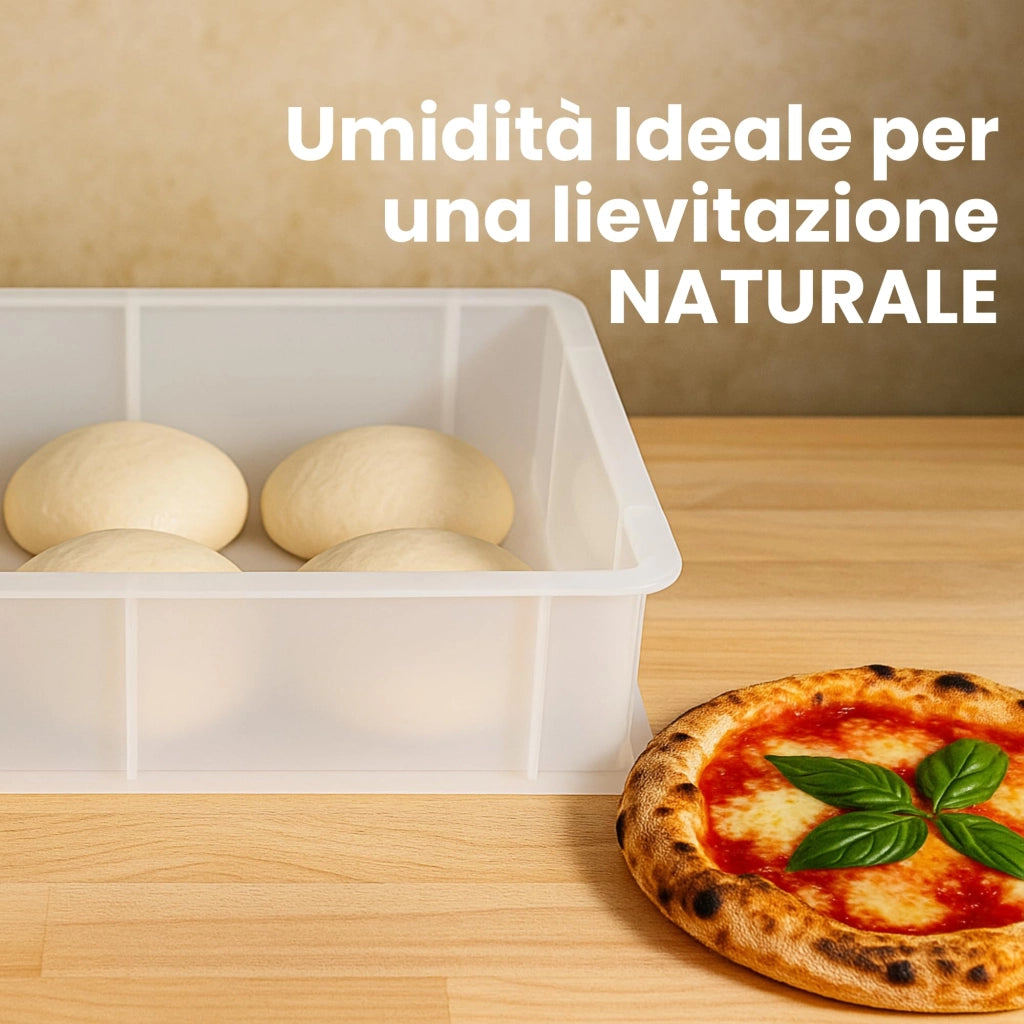 Contenitore per Lievitazione Pizza E Pane BPA-free - Cassetta Portaimpasto Certificata di Grado Alimentare - Made in Italy - 1 Box Impilabile 40x30x10 + 1 Coperchio
