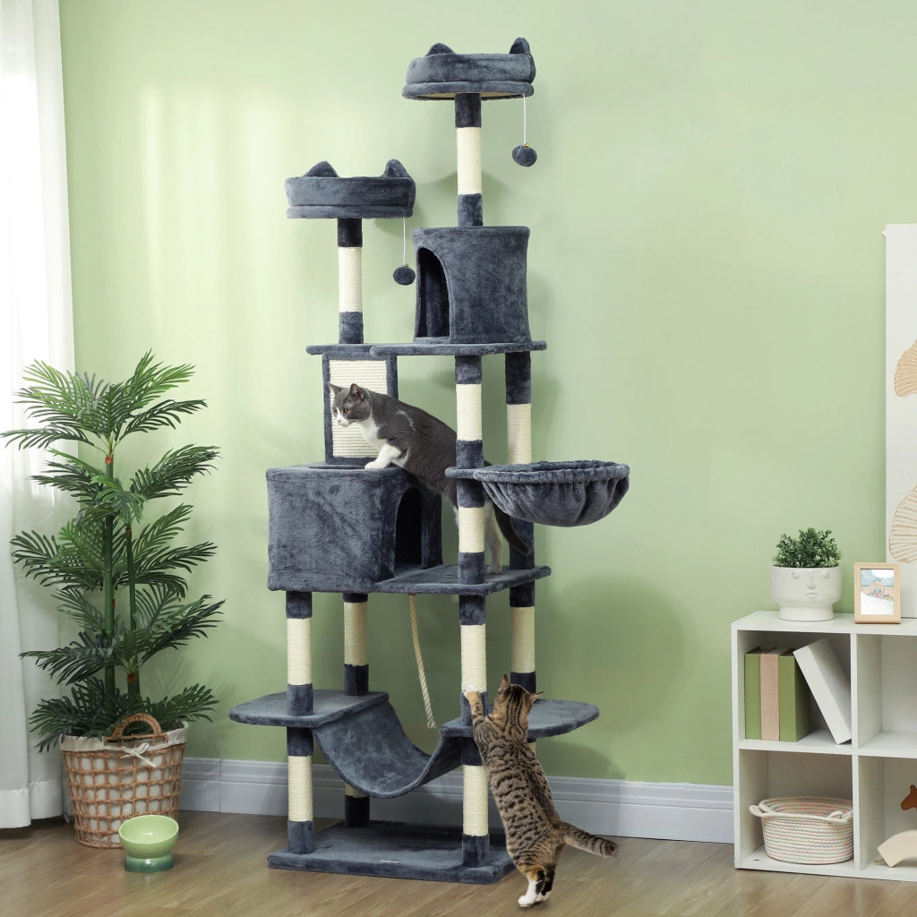 Albero per Gatti 60x50x206A cm con 4 Pali Graffiatoi Cesti Amache per 1-3 Gatti 6 kg in Peluche e Sisal Grigio Scuro