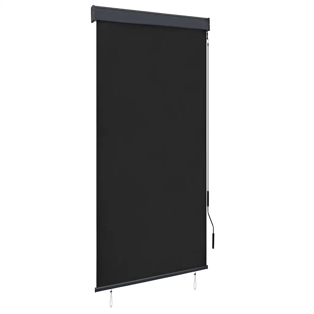 Tenda a Rullo per Esterni 100x250 cm Antracite 145958