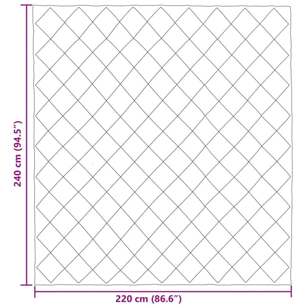 Duvet Estivo Antracite 220 x 240 cm Microfibra 42025413