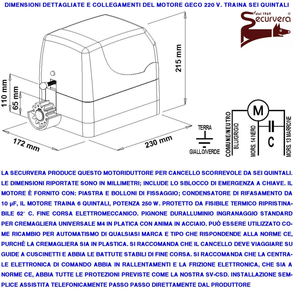 Sblocco Emergenza del Motore Geko Montato su Cancello Scorrevole Kit Leva STP064 Completa di Chiavi di Sicurezza Doppio Profilo Utile Per Mancanza di Rete Elettrica Libera L'Anta per Apertura Manuale