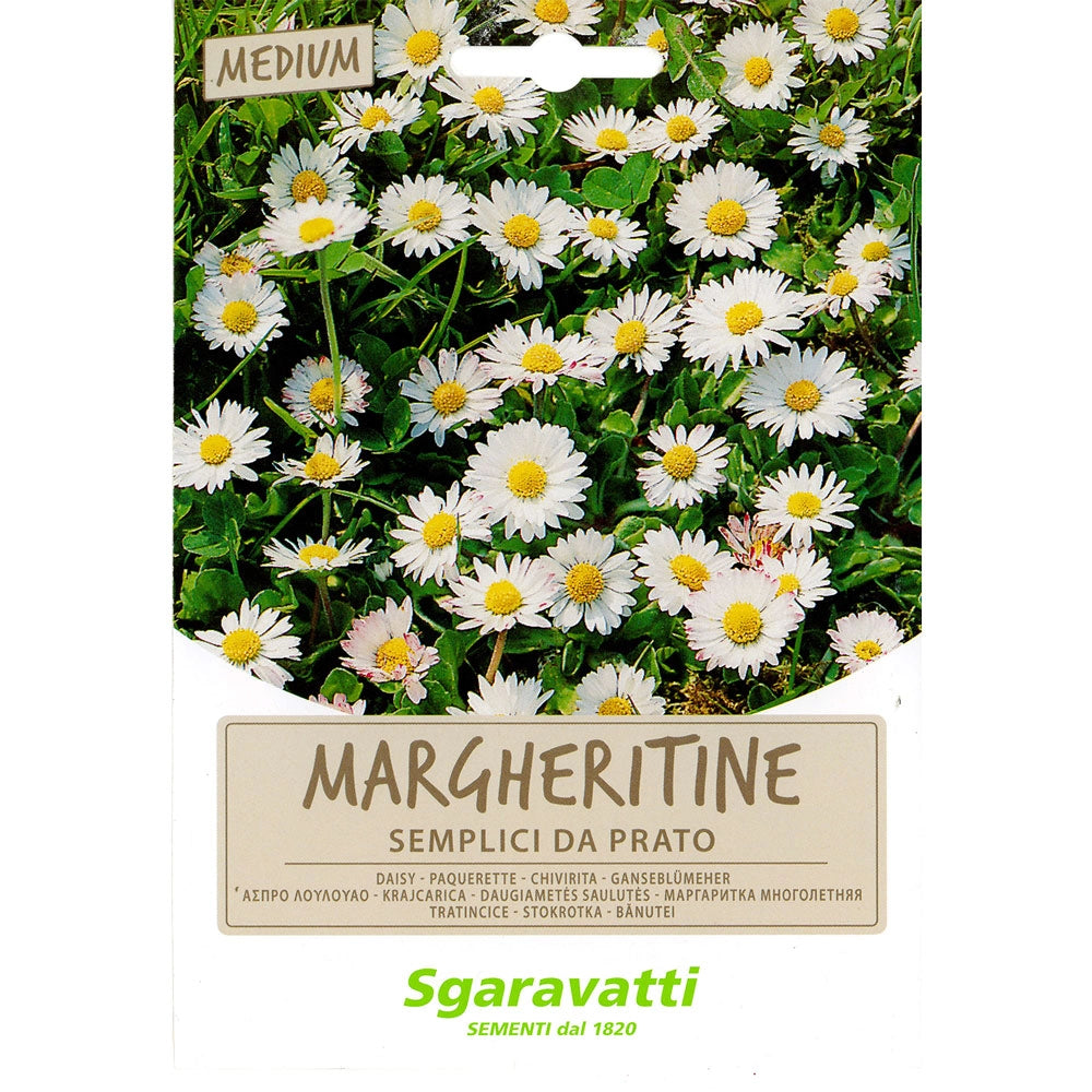 Semi per Prato Universale Margheritine Semplici da 20 Pezzi