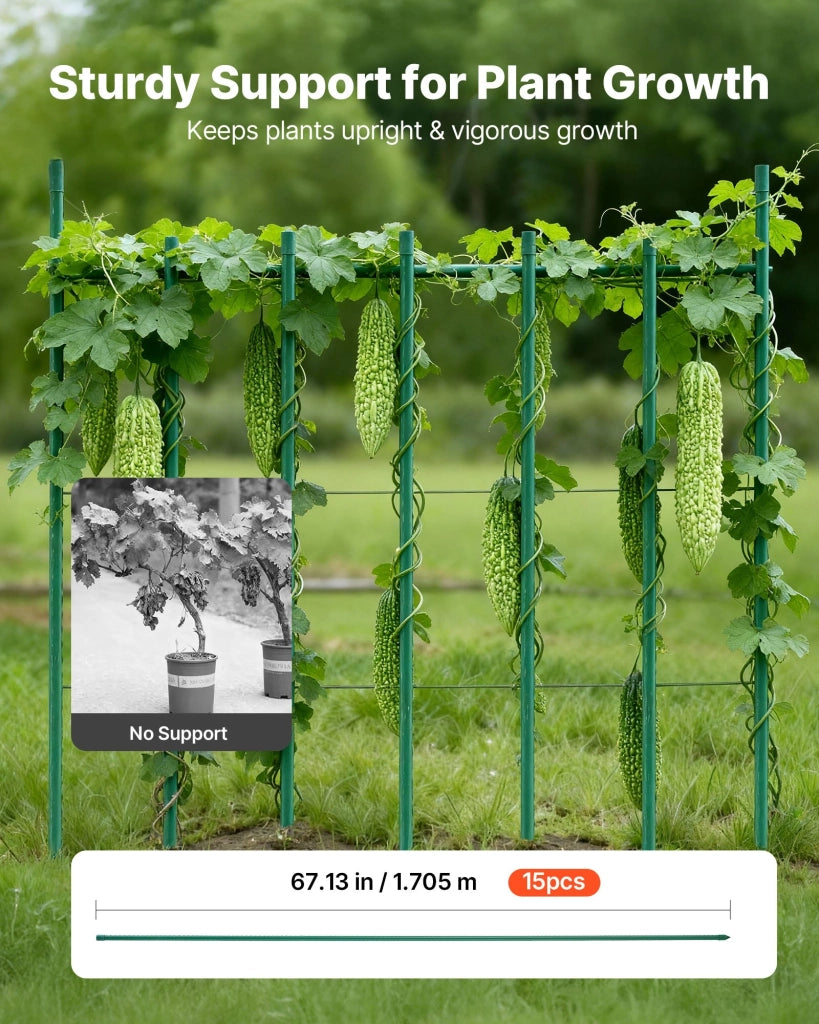 Set da 15 Picchetti per Piante CSP16-1800-15, Tutori da Giardino Plastificati 16 x 1705 mm, Bastoni di Sostegno Antiscivolo per Rampicanti e Orto