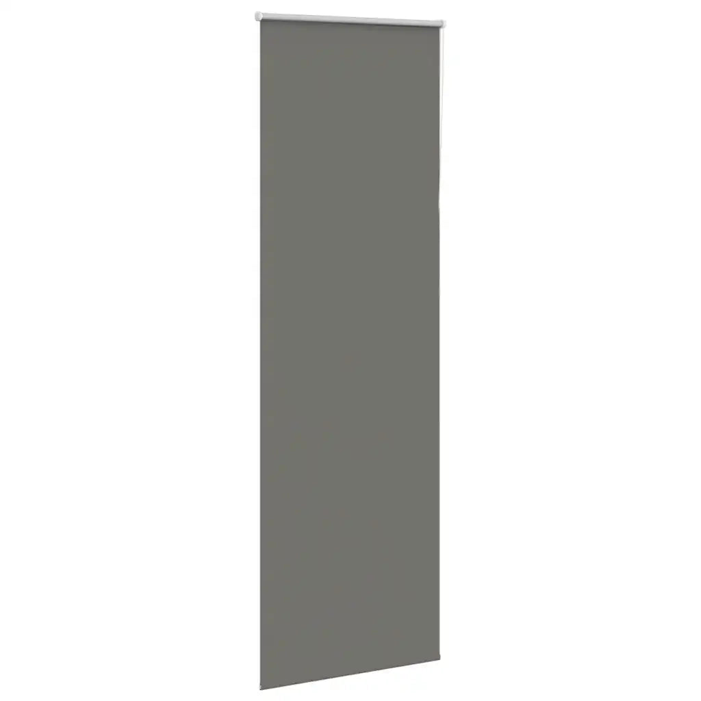 Tenda a Rullo Oscurante 65x210 cm Larghezza Tessuto 60,7 cm 4011173