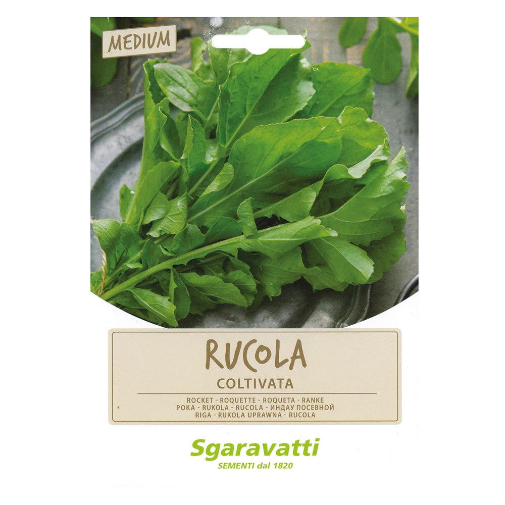 Semi per Ortaggi e Vegetali Rucola Coltivata Sgaravatti 10 Pezzi