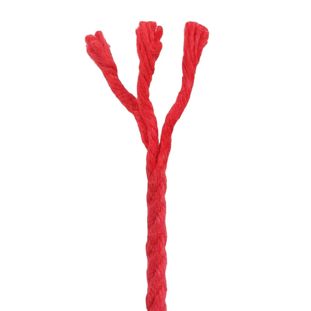 Corda | Fune 2 pz Rosso Cotone