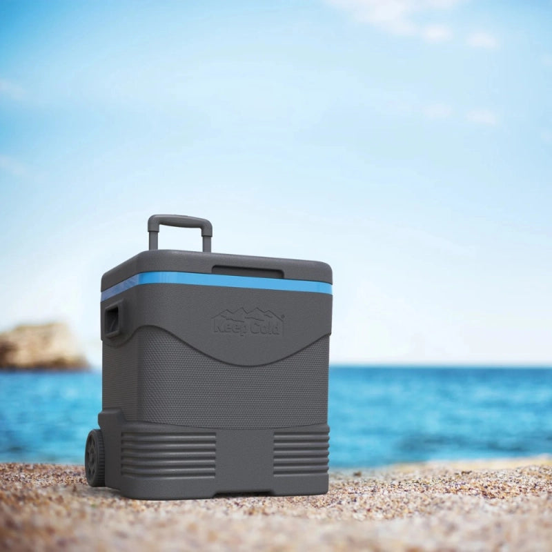 Ghiacciaia su Ruote Trolley Icebox Grigio e Blu 45L