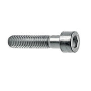 VITE TCEI 6X100 ZINCATA 8.8 100 PZ