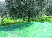 Confine RETE PER OLIVE ANTISPINE rotolo mt. 8x50