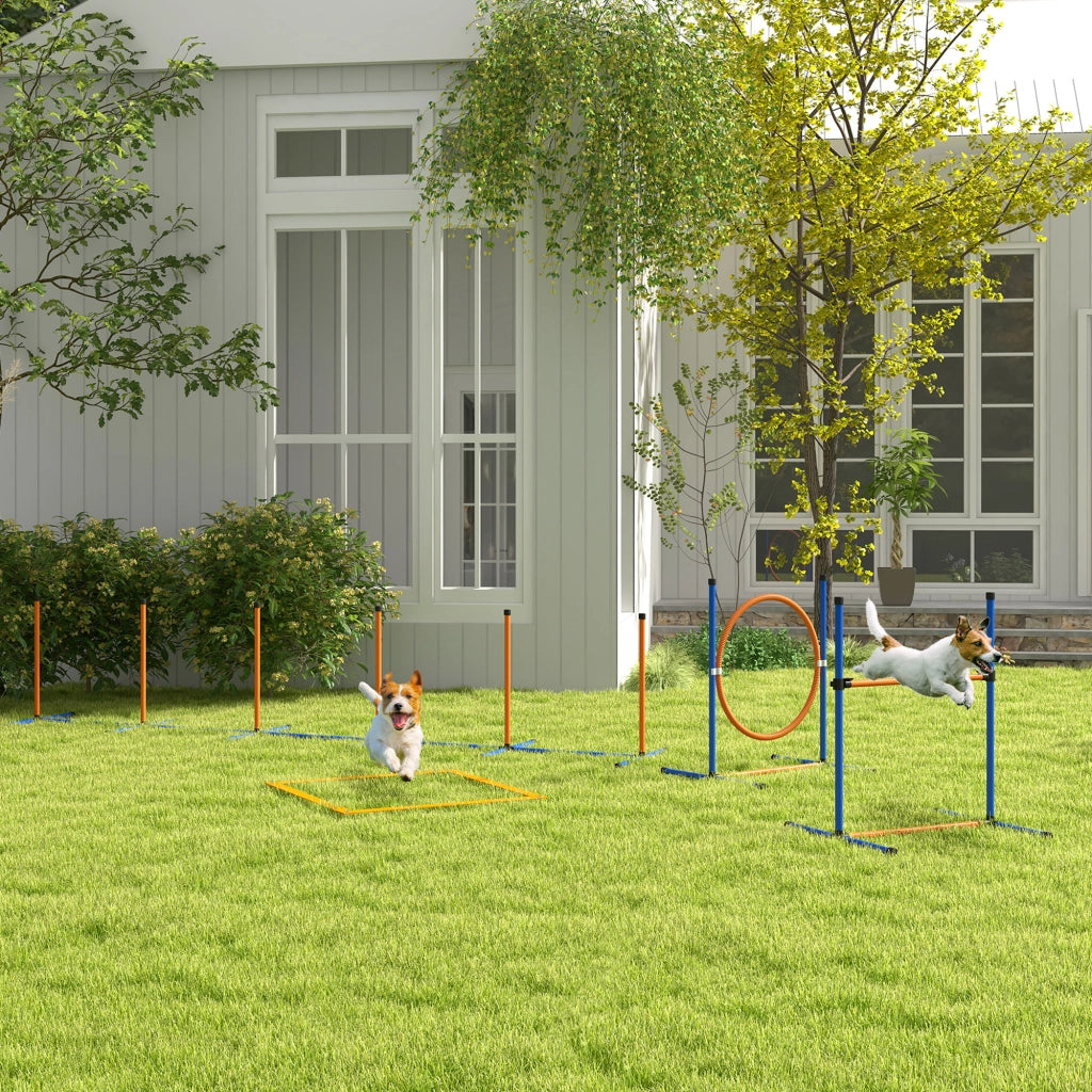 Set Agility per Cani ¨C zephmum ¨C Blu e Rosso, 352x66x69 cm