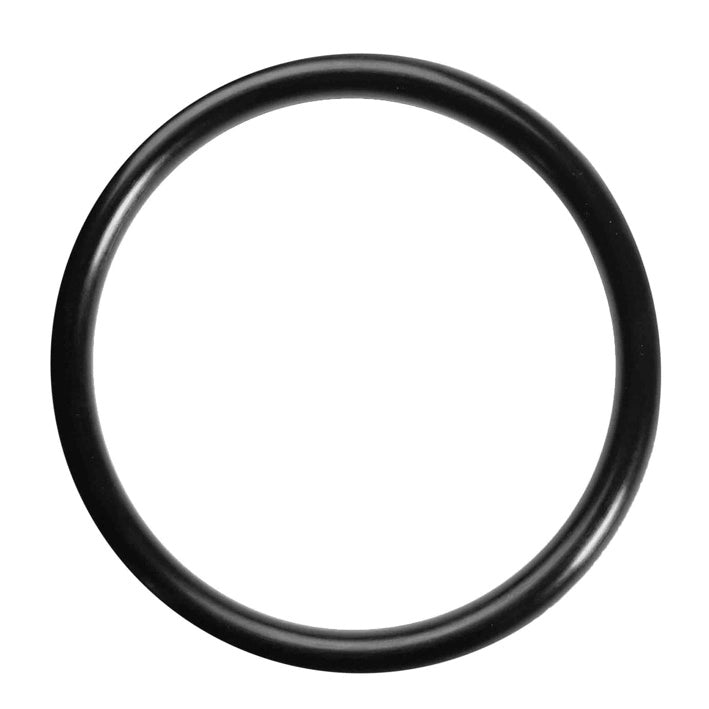 ANELLO O-RING Ø 26,2x3,6 mm - Confezione 100 pezzi