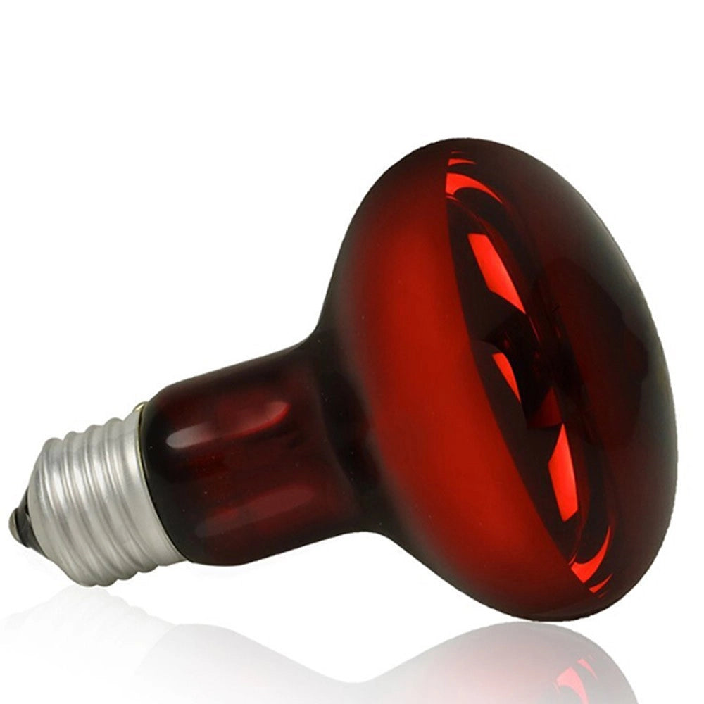 AQL Terra NightHeat Lamp Attacco E27 - Lampada riscaldante notturna per terrari Wattaggio Riscaldatori e lampade terrario: 50W