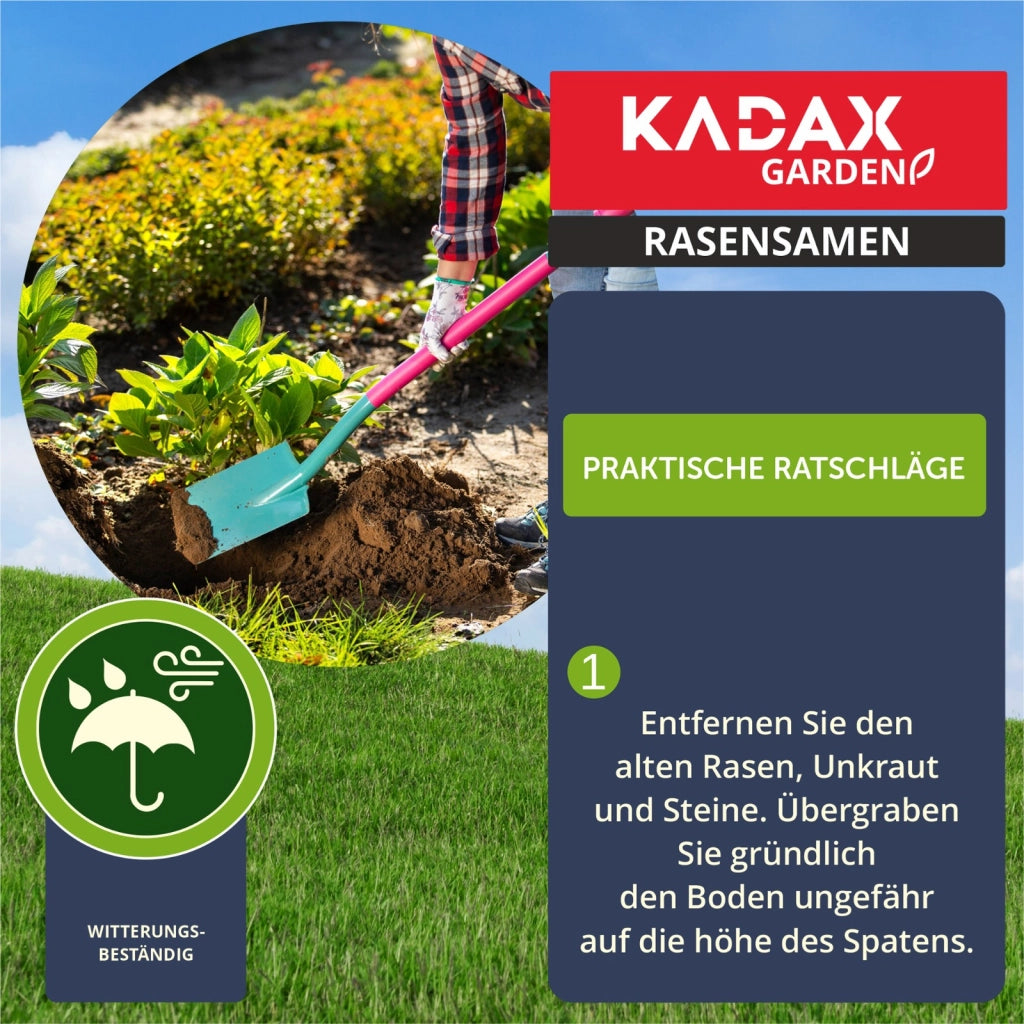 Semi per prato KADAX 5 kg Universali Autocompattanti Resistenti al calpestio 200 m²
