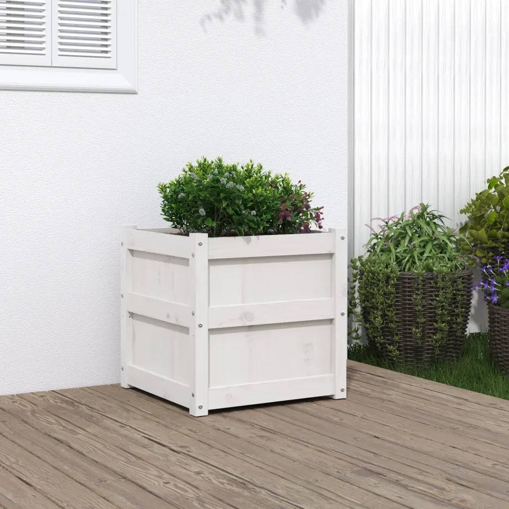 Fioriera | Cassetta per fiori | Vaso da Giardino Bianca 50x50x50 cm Legno Massello di Pino