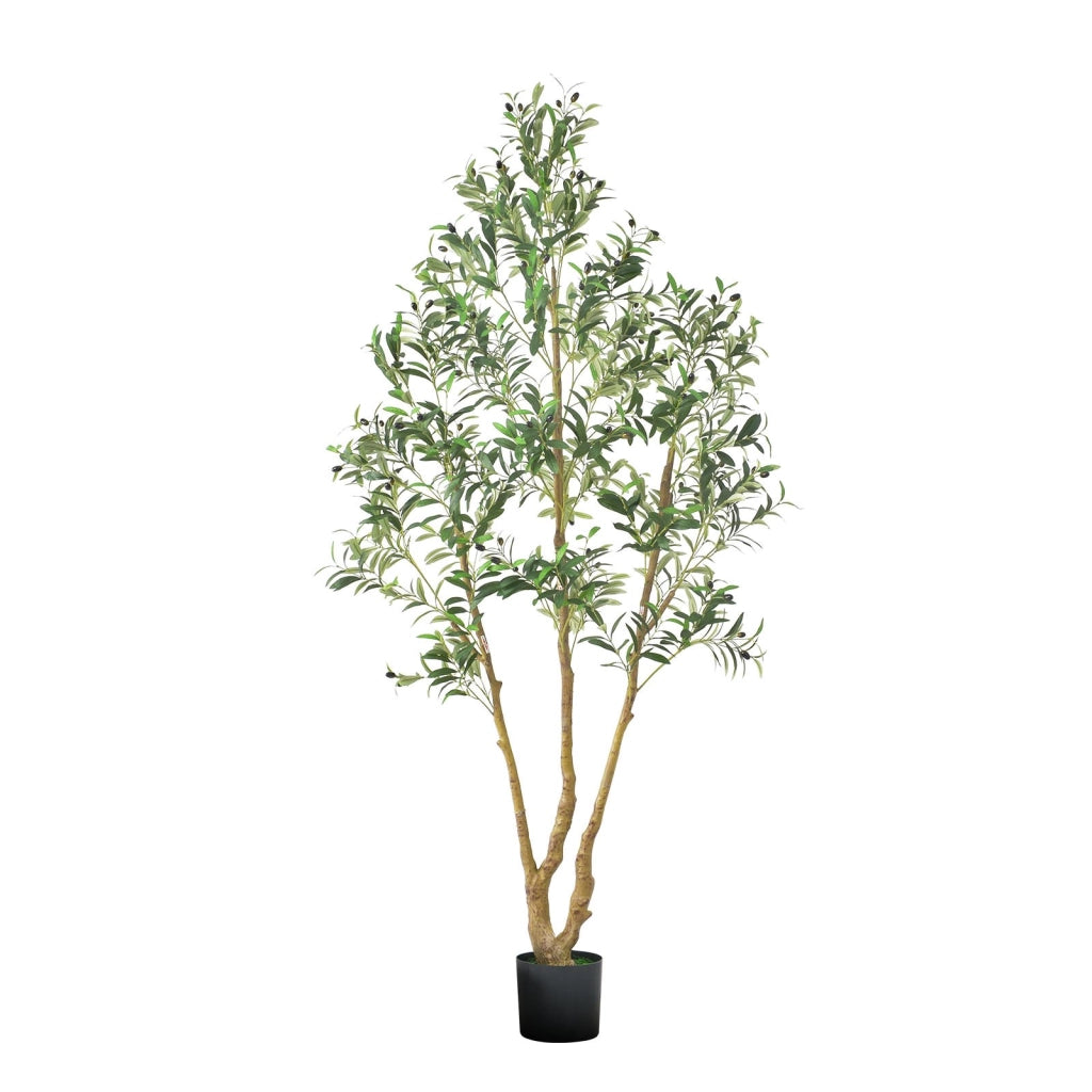 Albero di Ulivo Artificiale FH-GLS210 2134 mm con Vaso Nero, Tronco in Legno Naturale e Foglie in Seta, Pianta per Casa e Soggiorno