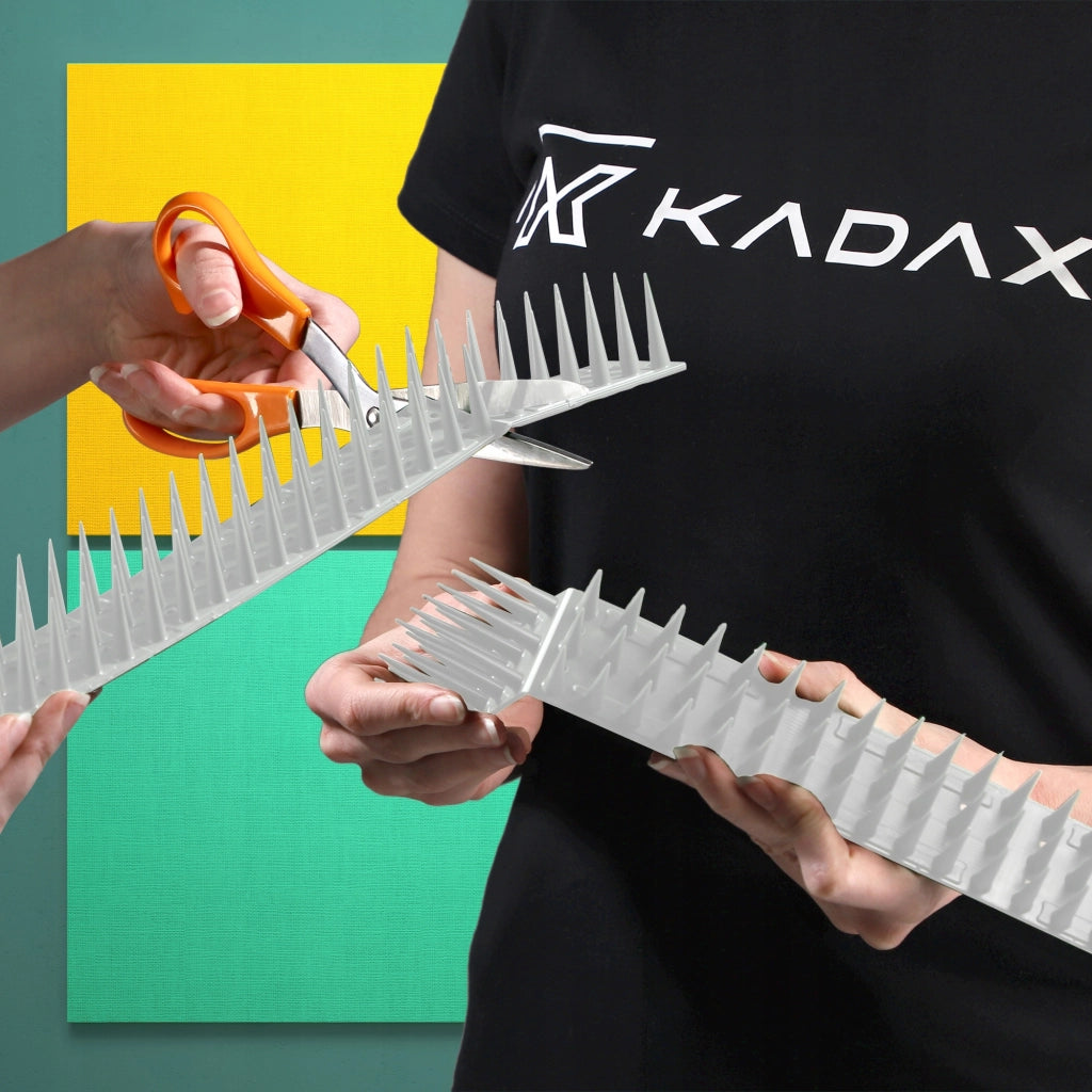 Punte anti-piccioni KADAX, 51 cm, in plastica densa e resistente, 48 pezzi