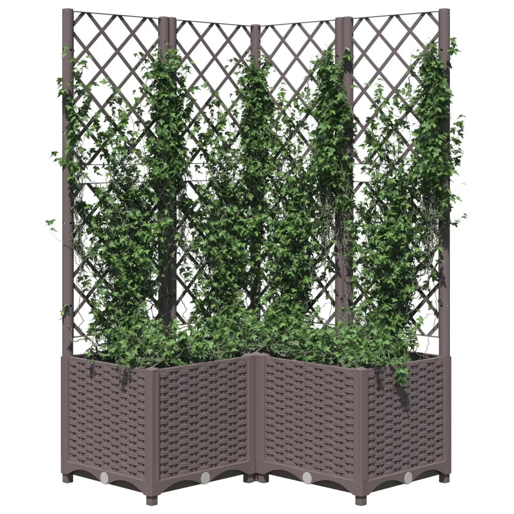 Fioriera da Giardino con Graticcio Marrone 80x80x136 cm in PP 318265