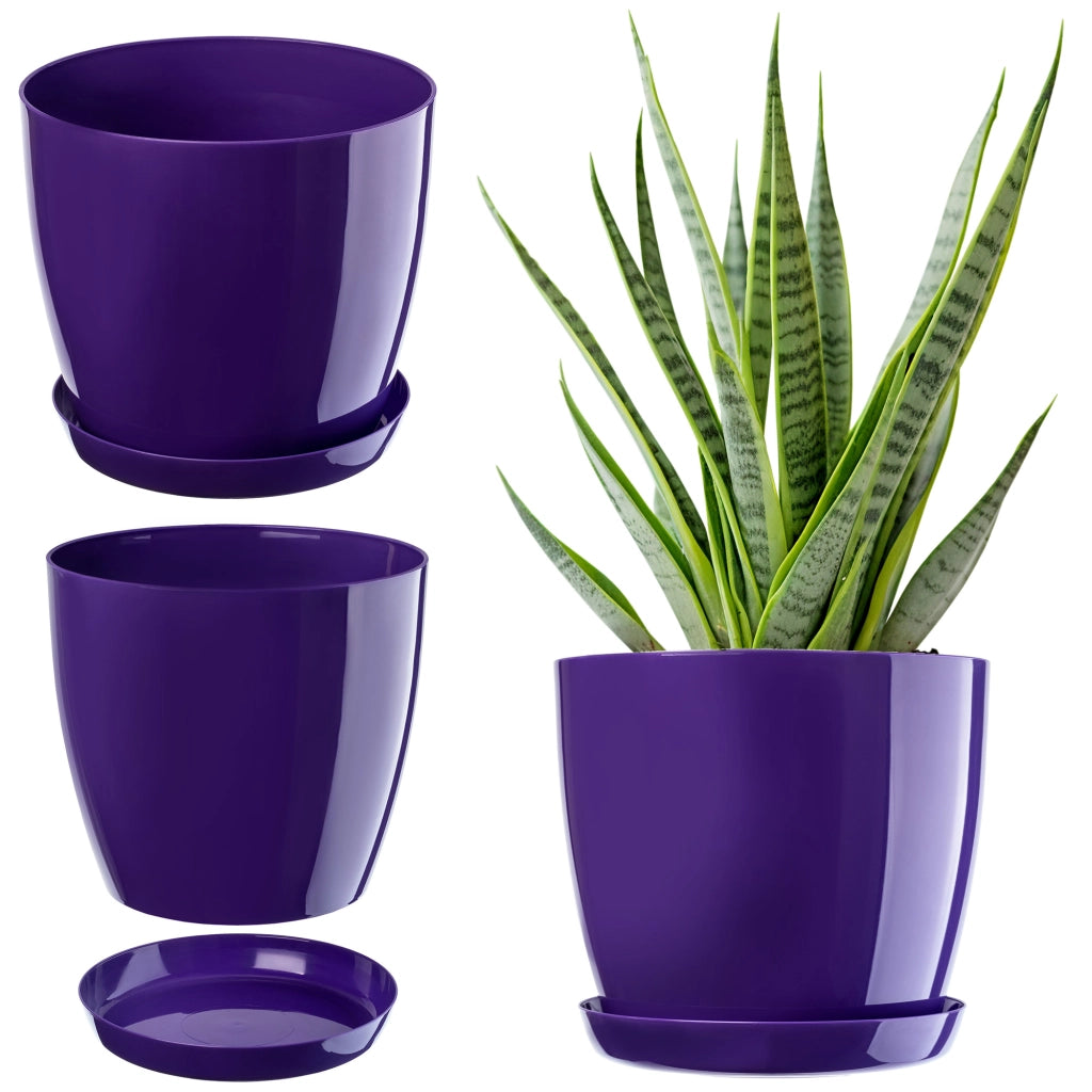 Vaso da fiori KADAX con sottovaso, coperchio in plastica, vaso da 14 cm, fiori viola, Kadax