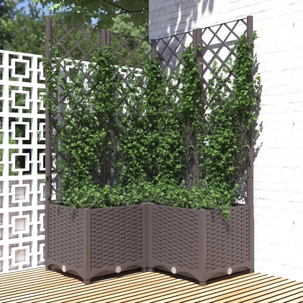 Fioriera da Giardino con Graticcio Marrone 80x80x136 cm in PP 318265